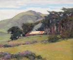Bart Walker - Sheltering Cypress