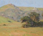 Bart Walker - Wind Blown Cypress