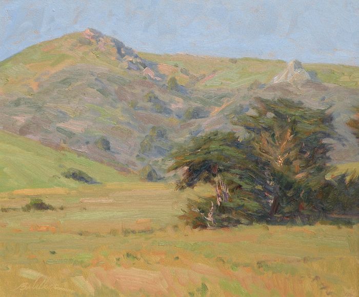 Bart Walker - Wind Blown Cypress
