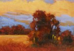 Wanda Westberg - Sonoma Sunset