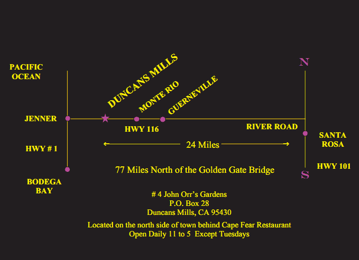 Map to Christopher Queen Galleries in Duncans Mills, CA