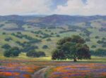 Dave Sellers Spring in Sonoma