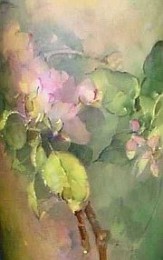 Franz Bischoff